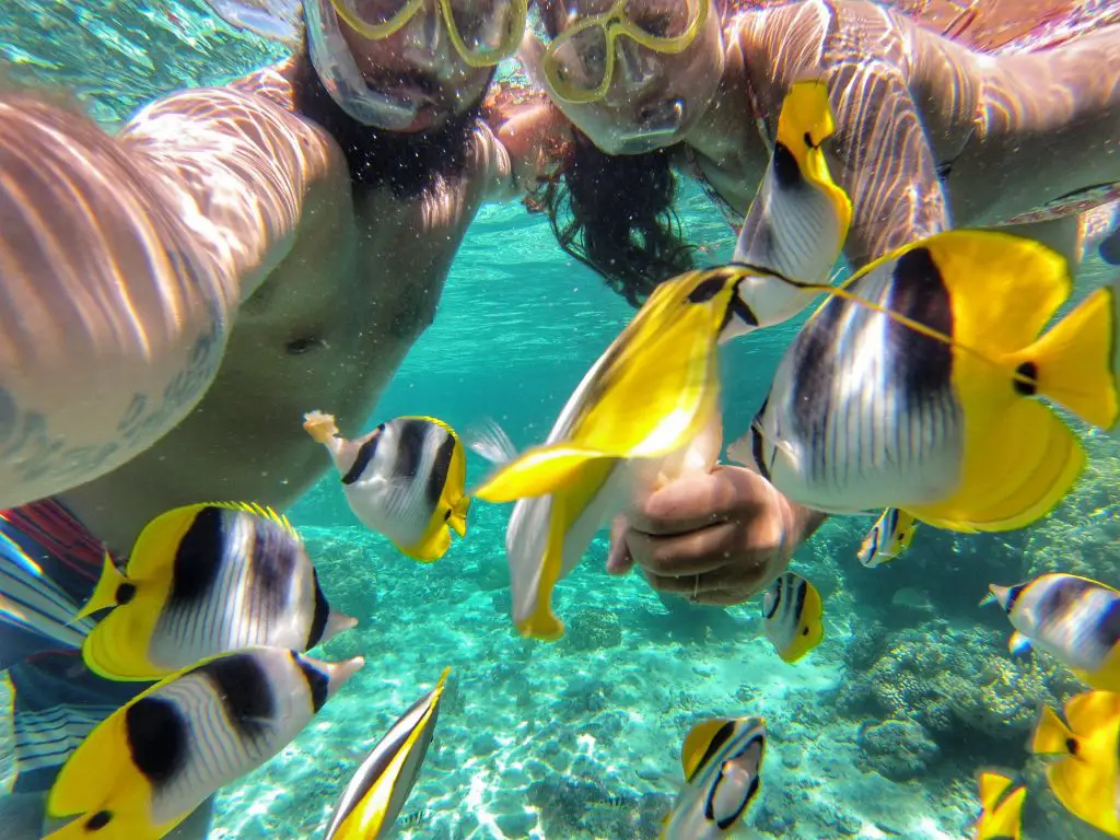 Bora Bora - Die besten Reisetipps & Empfehlungen für deinen Urlaub in der Südsee