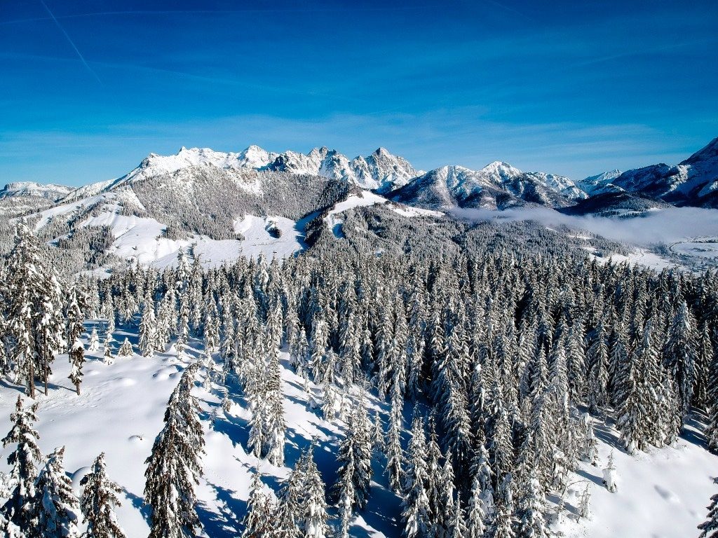 Kitzbüheler Alpen - Die schönsten Ski -Pisten für Genießer!
