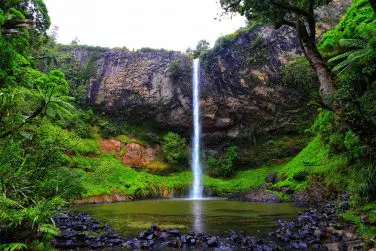 Neuseeland - Bridal Veil Falls - Nature Park