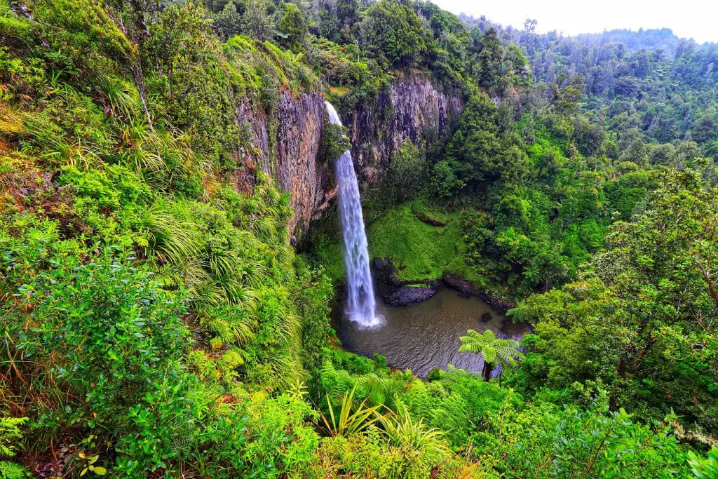 Die schönsten Wasserfälle in Neuseeland!
