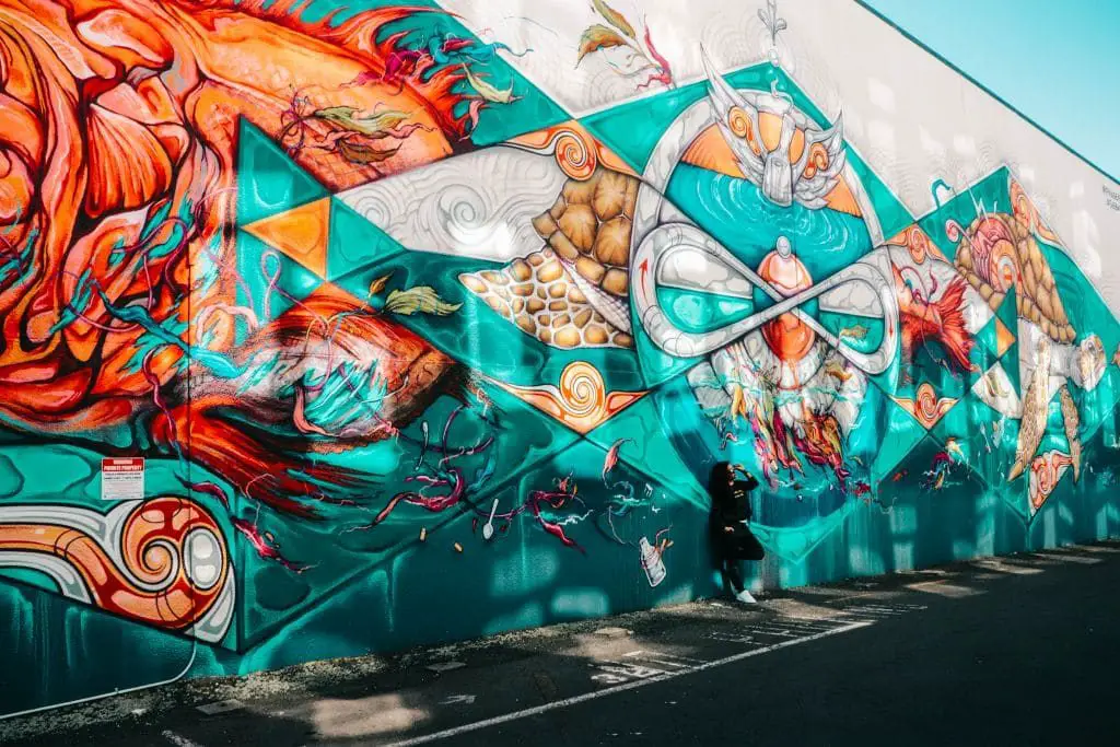 Die schönsten Street Art Orte in Neuseeland!