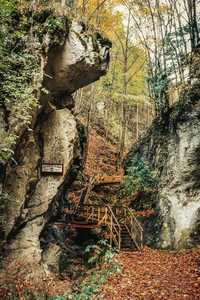Steinwandklamm - Wandern & Natur. Ein ganz besonderes Ausflugsziel in Niederösterreich!